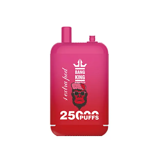 Bang King 25000 Züge Dual Pods 0% 2% 3% 5% Niedriger Nikotingehalt Großhandel Tragbare Wiederaufladbare Einweg-E-Zigaretten – Bild 9