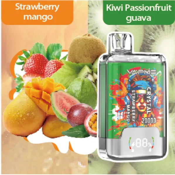 VAPME Crystal 20000 Züge Doppelgeschmack LED-Display 2% Nikotin Wiederaufladbar Leicht Tragbar Einweg E-Zigarette Großhandel – Bild 7