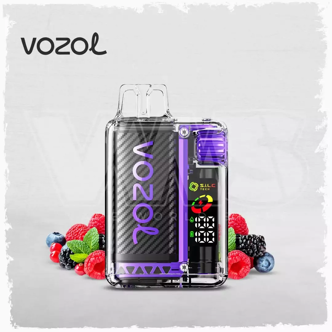 Vozol Vista 20000 Züge – Wiederaufladbare Einweg Vape mit Dual Mesh, Farbbildschirm, MTL, 5% Nikotin, Großhandel & Bulk Buy – Bild 11