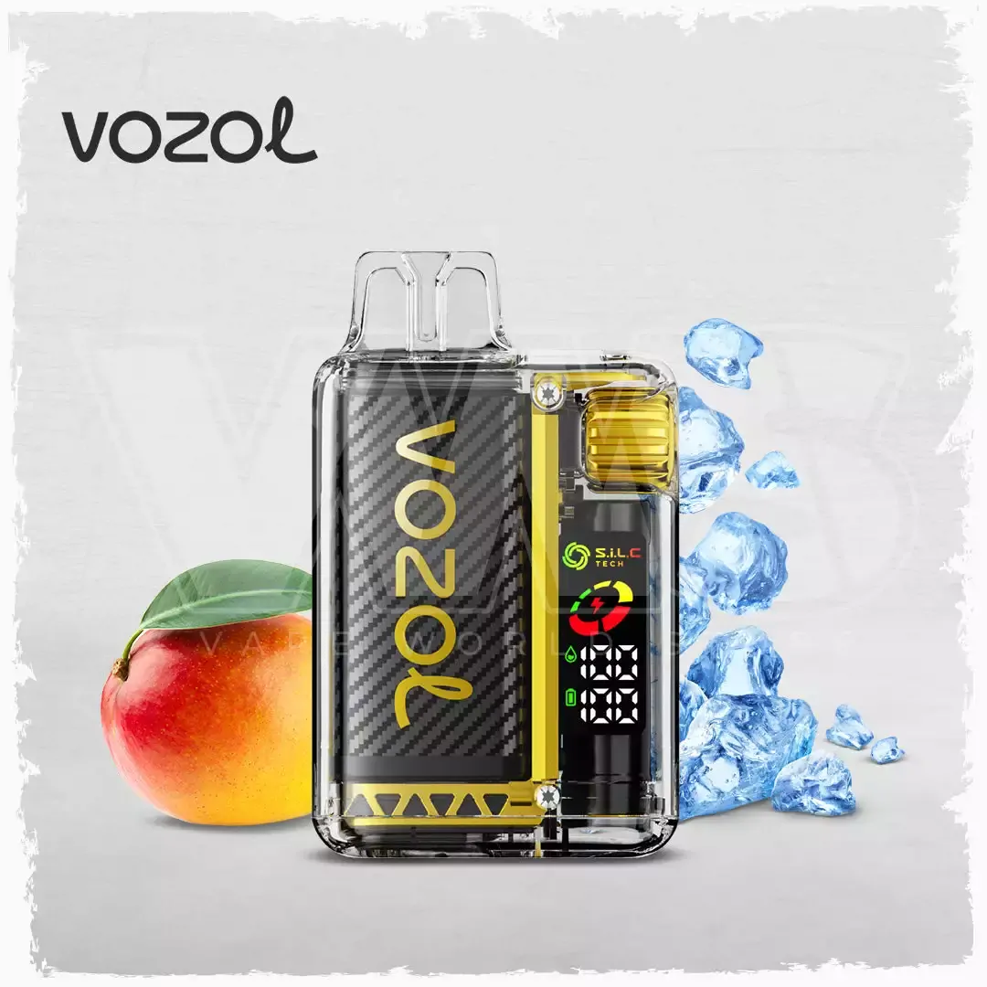 Vozol Vista 20000 Züge – Wiederaufladbare Einweg Vape mit Dual Mesh, Farbbildschirm, MTL, 5% Nikotin, Großhandel & Bulk Buy – Bild 5