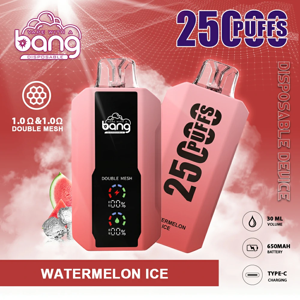 BANG 25000 Züge Einweg Vape Großhandel Einweg E Zigarette kaufen – Bild 2