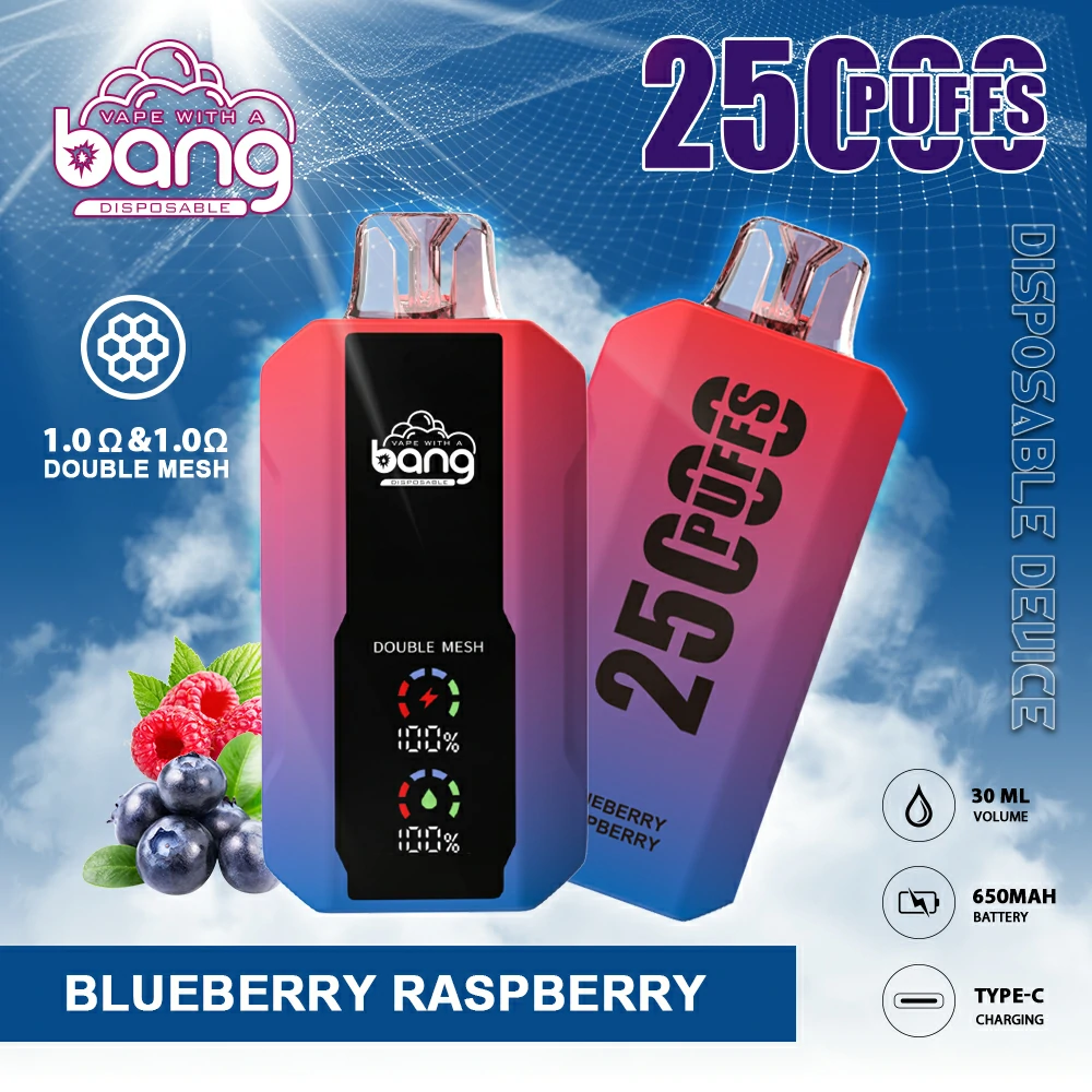 BANG 25000 Züge Einweg Vape Großhandel Einweg E Zigarette kaufen – Bild 3