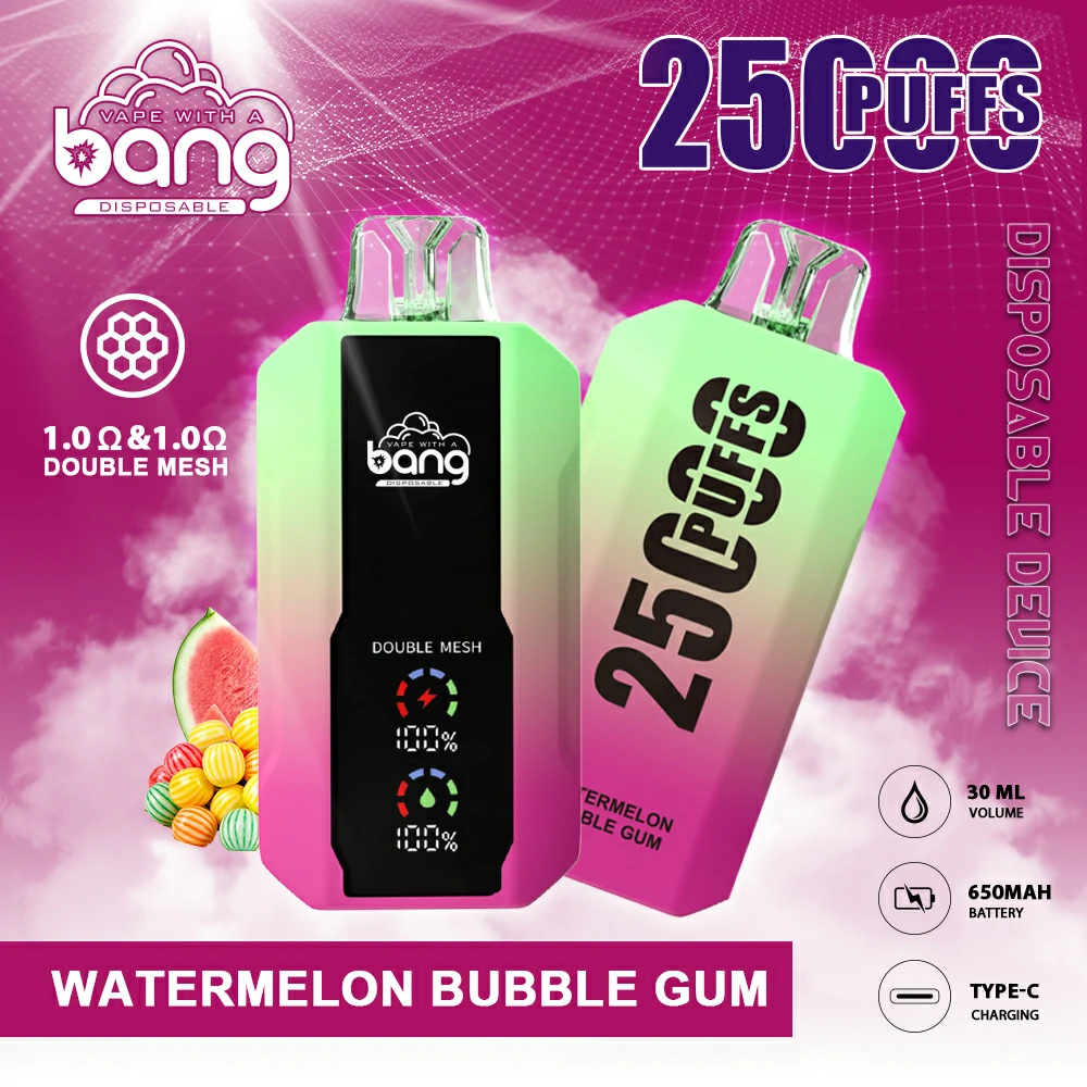 BANG 25000 Züge Einweg Vape Großhandel Einweg E Zigarette kaufen – Bild 13