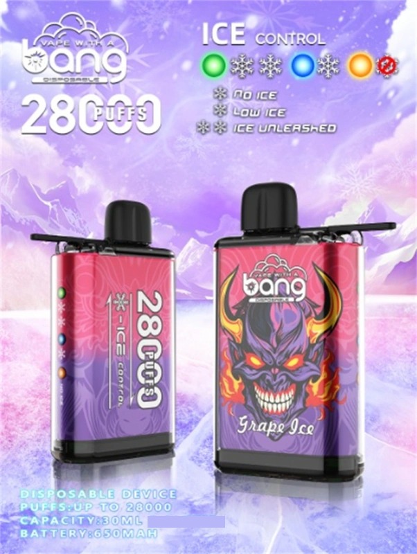 BANG 28000 Züge DSK033 Einweg Vape Großhandel günstig kaufen – Bild 7