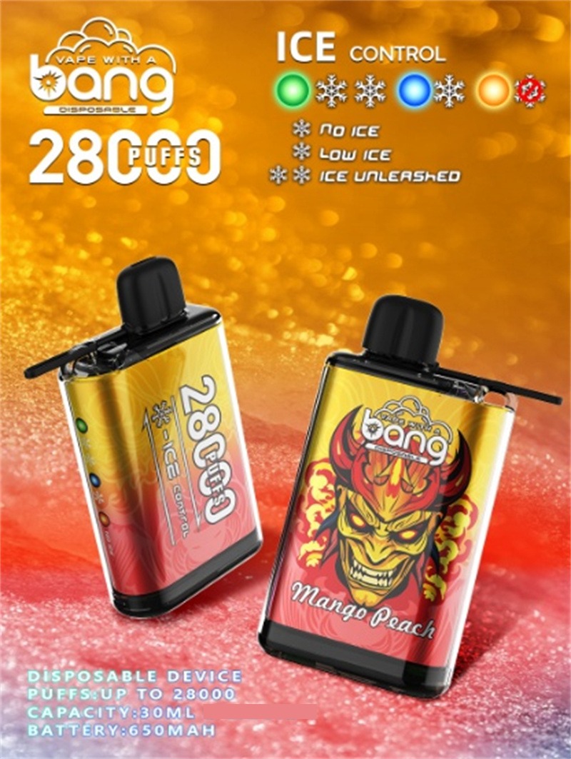 BANG 28000 Züge DSK033 Einweg Vape Großhandel günstig kaufen – Bild 6