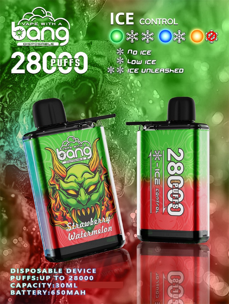 BANG 28000 Züge DSK033 Einweg Vape Großhandel günstig kaufen – Bild 2