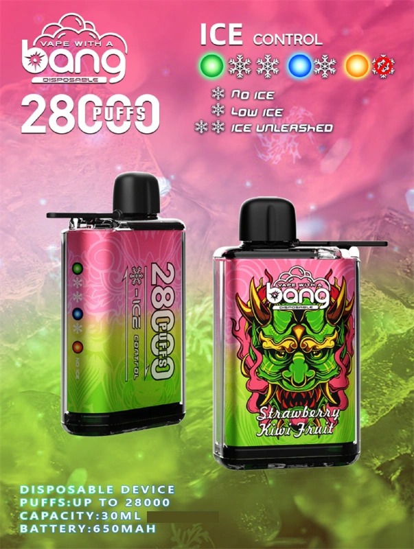 BANG 28000 Züge DSK033 Einweg Vape Großhandel günstig kaufen – Bild 3
