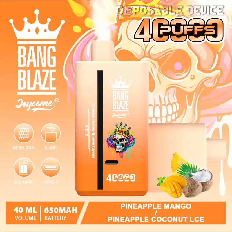 Bang Blaze 40000 Züge Dual Taste Einweg Vape DSK041 Großhandel günstig kaufen – Bild 13