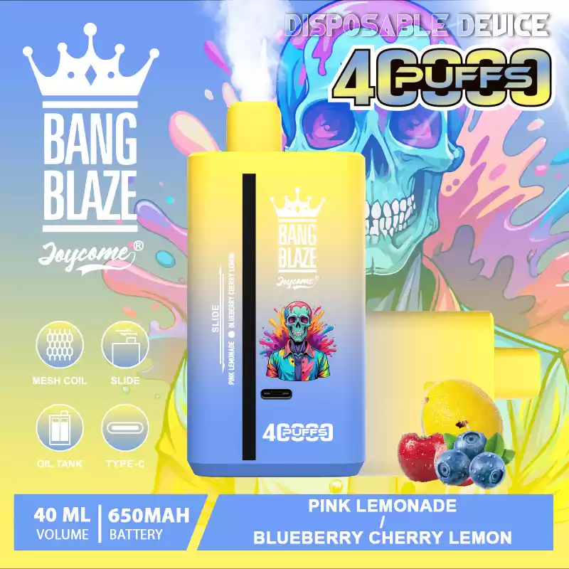 Bang Blaze 40000 Züge Dual Taste Einweg Vape DSK041 Großhandel günstig kaufen – Bild 12