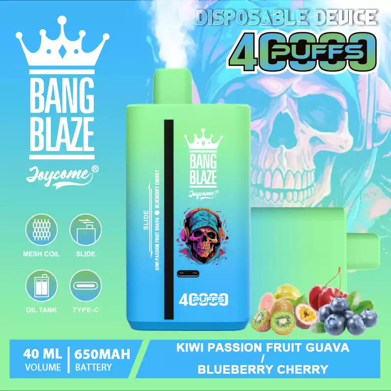 Bang Blaze 40000 Züge Dual Taste Einweg Vape DSK041 Großhandel günstig kaufen – Bild 15
