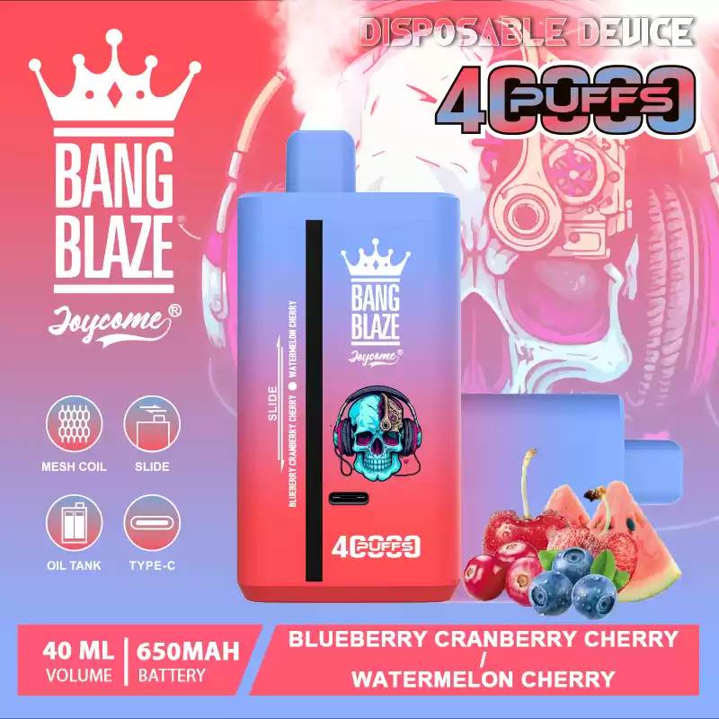 Bang Blaze 40000 Züge Dual Taste Einweg Vape DSK041 Großhandel günstig kaufen – Bild 17