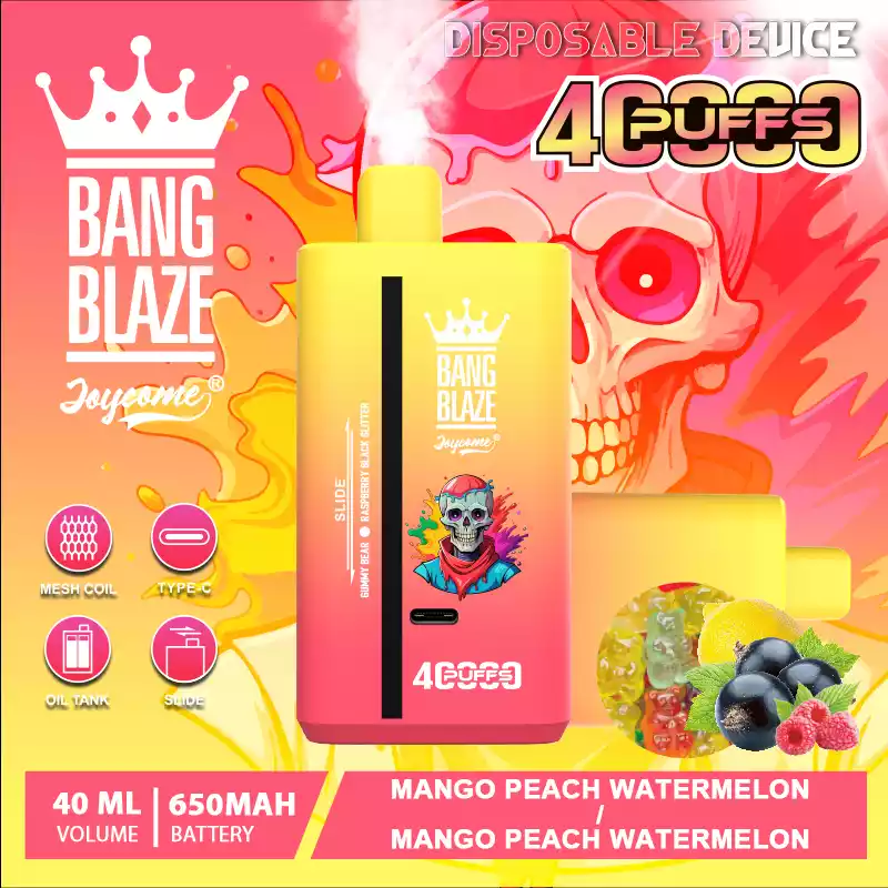 Bang Blaze 40000 Züge Dual Taste Einweg Vape DSK041 Großhandel günstig kaufen – Bild 16