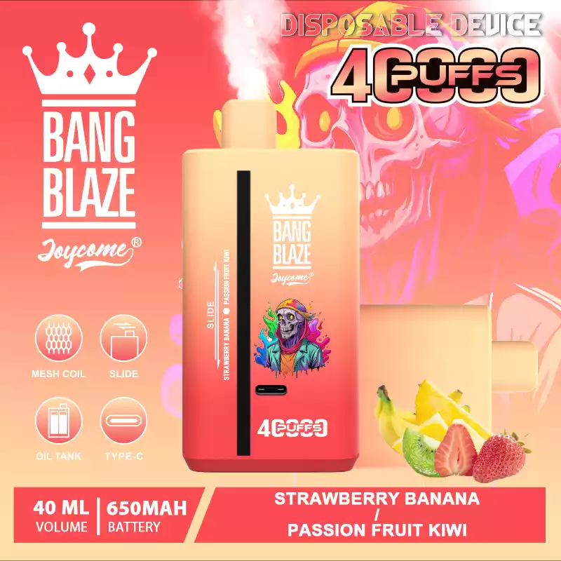 Bang Blaze 40000 Züge Dual Taste Einweg Vape DSK041 Großhandel günstig kaufen – Bild 10