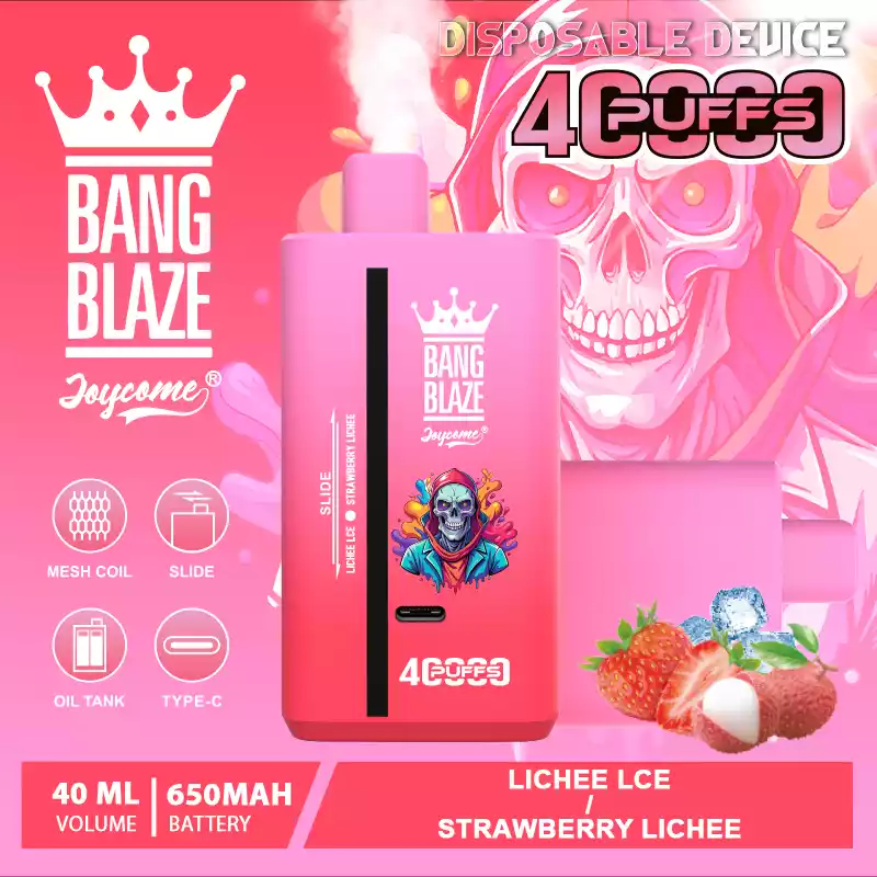 Bang Blaze 40000 Züge Dual Taste Einweg Vape DSK041 Großhandel günstig kaufen – Bild 14