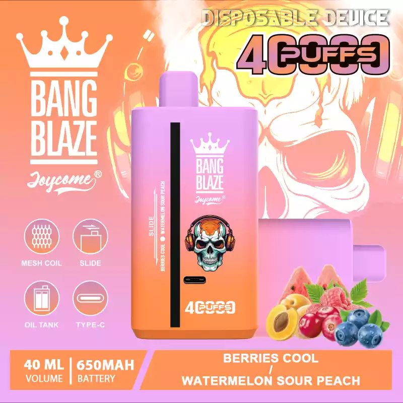 Bang Blaze 40000 Züge Dual Taste Einweg Vape DSK041 Großhandel günstig kaufen – Bild 18