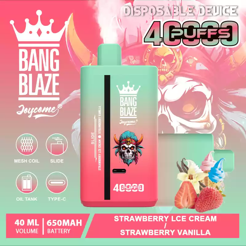 Bang Blaze 40000 Züge Dual Taste Einweg Vape DSK041 Großhandel günstig kaufen – Bild 9