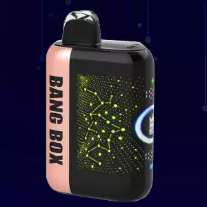BANG BOX TURBO 42000 Züge 3D Display Einweg Vape Großhandel kaufen – Bild 8
