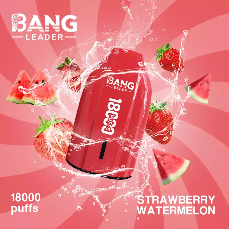 BANG LEADER 18K Einweg Vape 18000 Züge Mesh Coil Type C Großhandel günstig kaufen – Bild 2