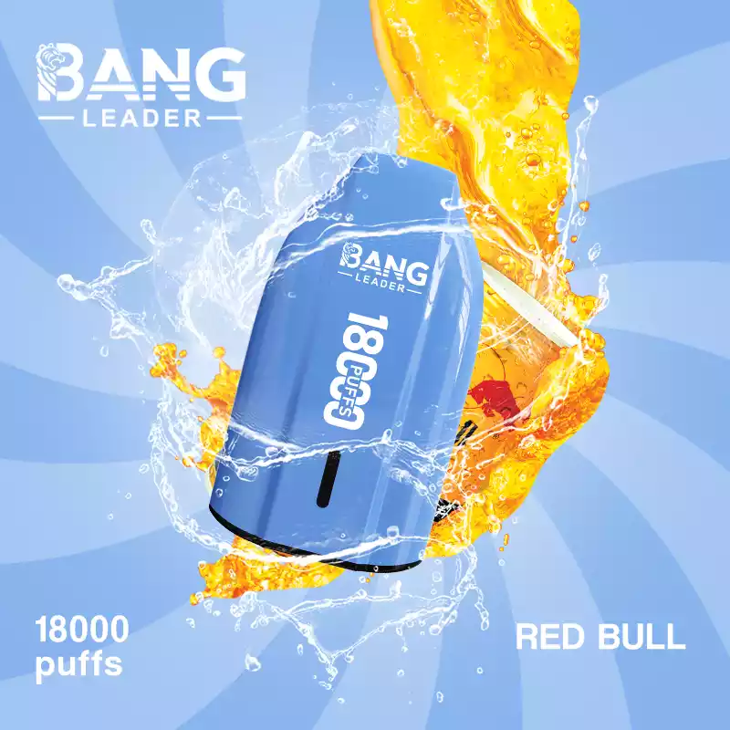 BANG LEADER 18K Einweg Vape 18000 Züge Mesh Coil Type C Großhandel günstig kaufen – Bild 3