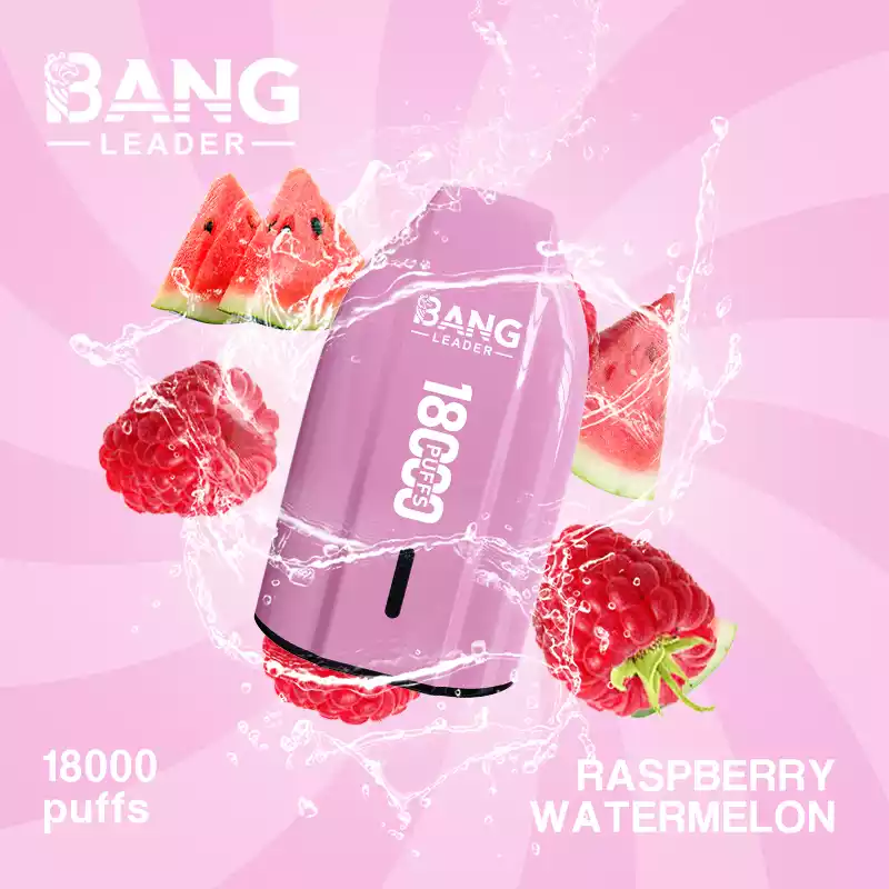BANG LEADER 18K Einweg Vape 18000 Züge Mesh Coil Type C Großhandel günstig kaufen – Bild 9