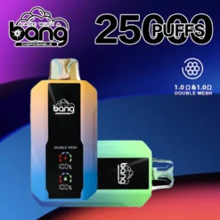 BANG 25000 Züge Einweg Vape Großhandel Einweg E Zigarette kaufen