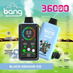 Bang 36000 Züge DSK025 Einweg Vape Großhandel 36K Einweg günstig kaufen