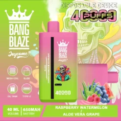 Bang Blaze 40000 Züge Dual Taste Einweg Vape DSK041 Großhandel günstig kaufen
