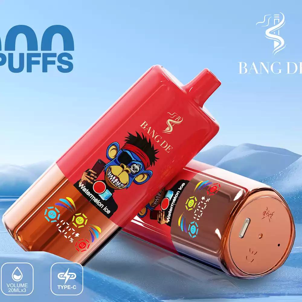 Bang DE 80K Einweg Vape 80000 Züge Dual Mesh Coil LED Ring Großhandel günstig kaufen