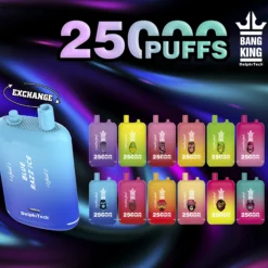 BANG KING 25000 Züge Dual Pod Einweg Vape Großhandel Bestpreis