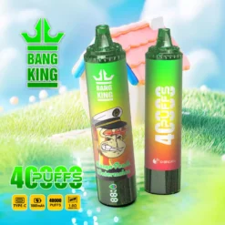 BANG KING 40000 Züge Einweg Vape DSK059 Großhandel 40K Züge günstig kaufen