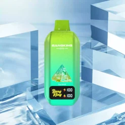 BANG KING 50000 Züge Einweg Vape City DSK044 Großhandel günstig kaufen