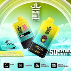 BANG KING 50000 Züge DSK042 Dual Taste Einweg Vape Großhandel 50K günstig kaufen