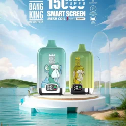 Bang King Smartscreen 15000 Züge Einweg Vape Großhandel kaufen