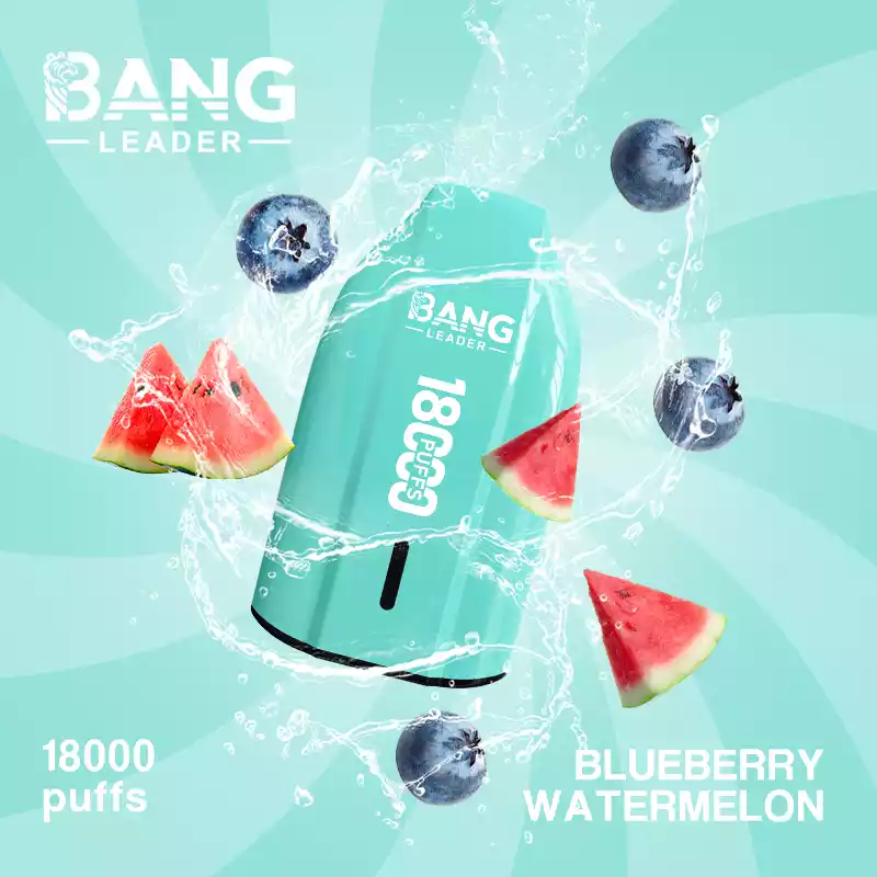 BANG LEADER 18K Einweg Vape 18000 Züge Mesh Coil Type C Großhandel günstig kaufen