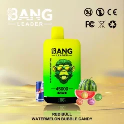 BANG LEADER 45000 Züge Einweg Vape Dual Option Großhandel günstig kaufen