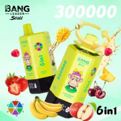 Bang Leader Stoll 300000 Züge 6 in 1 Einweg Vape Großhandel Ultra günstig kaufen