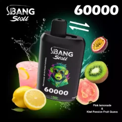 Bang Leader Stoll 60000 Züge Einweg Vape Großhandel Dual Taste Mesh Coil günstig kaufen