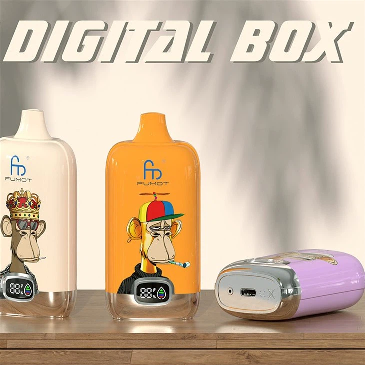 RandM Digital Box 12000 Züge LED Display Einweg Vape Großhandel günstig kaufen
