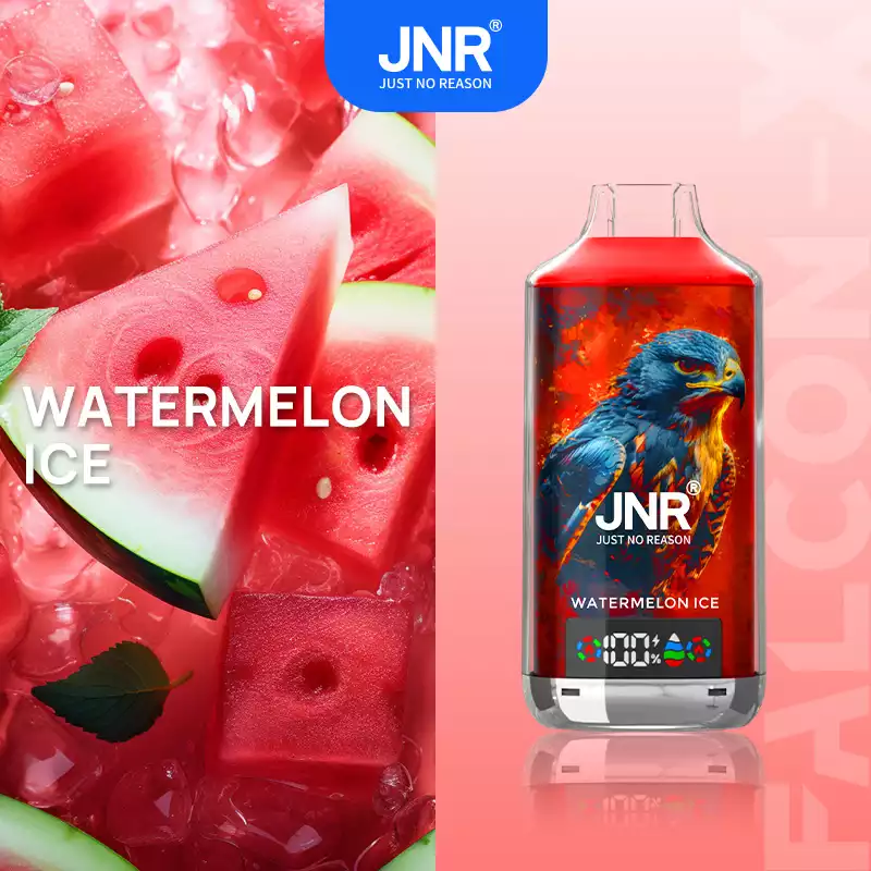 JNR Falcon X 18000 Züge Einweg Vape Dual Mesh LED Display Großhandel günstig kaufen – Bild 19