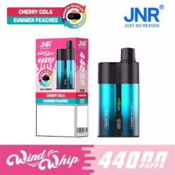 JNR Wind Whip 44K Detailansicht von Display und Bedienelementen