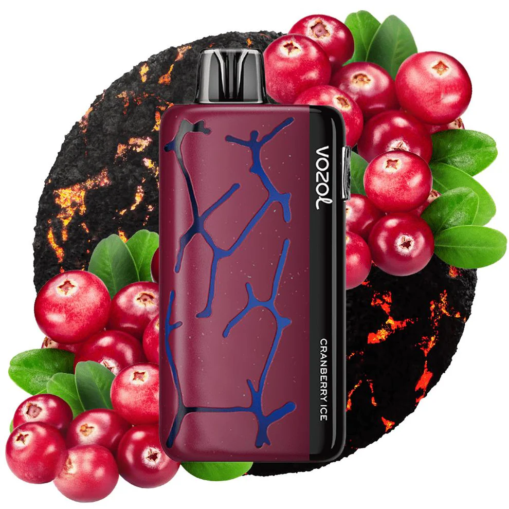 VOZOL NEON 45K