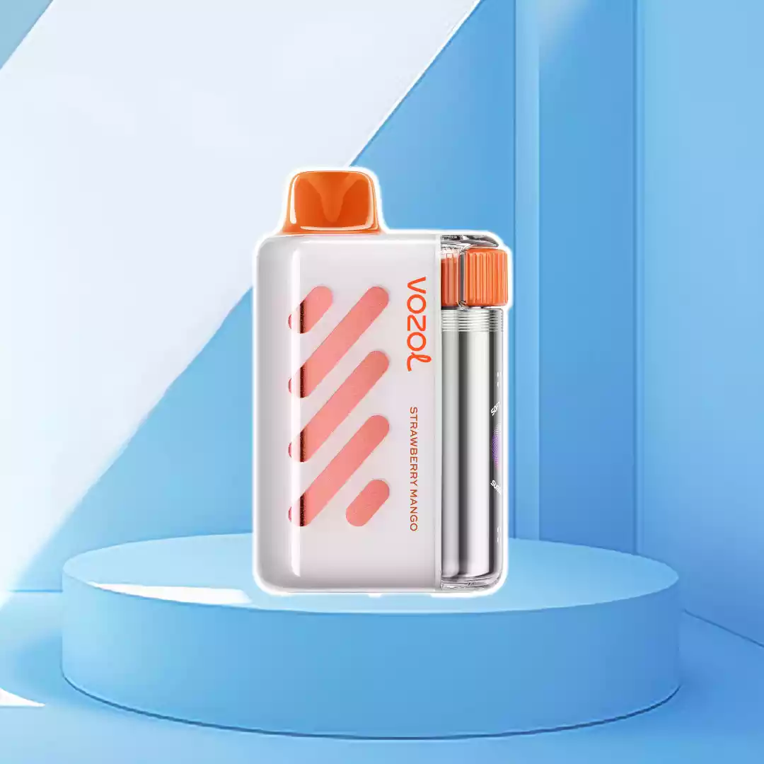VOZOL Einweg Vapes
