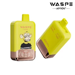 WASPE AIVIOU 40000 – Produktabbildung