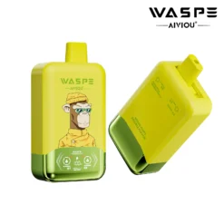 WASPE AIVIOU 40000 – Produktabbildung