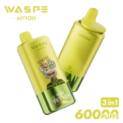 WASPE AIVIOU 60000 – Produktabbildung